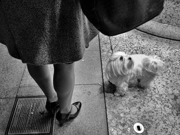 Low section of woman standing on tiled floor