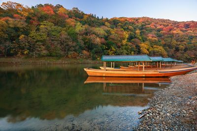 Scenic view of lake by trees during autumn