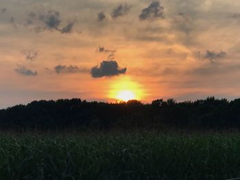 Scenic view of field against sky during sunset