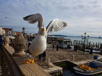 Seagull flying over sea against sky