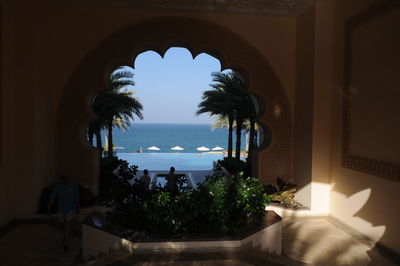 Palm trees seen through swimming pool