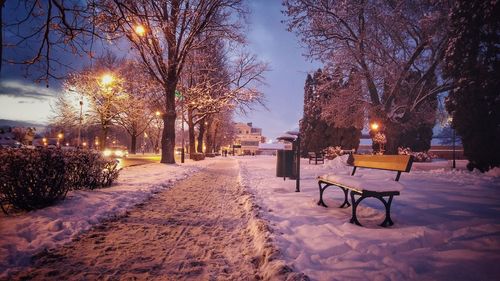 Empty park during winter at night