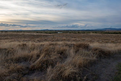 Scenic view of grassy field against sky during sunset