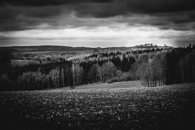 Trees on field against sky