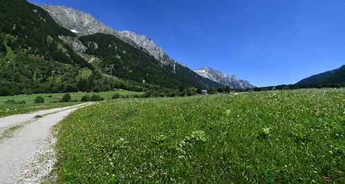 Scenic view of landscape against blue sky