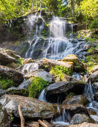 Scenic view of waterfall in forest