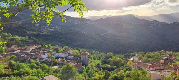 High angle view of trees and mountains