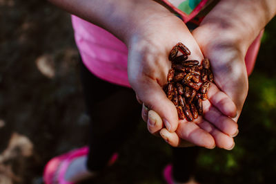 Midsection of girl holding beans