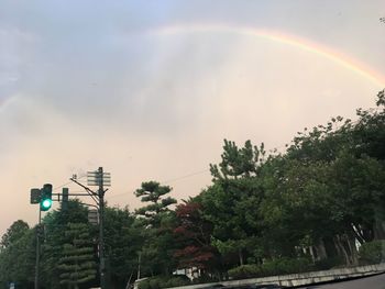 Low angle view of rainbow over trees against sky