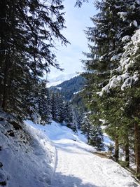 Scenic view of snow covered mountains