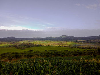 Scenic view of field against sky at sunset