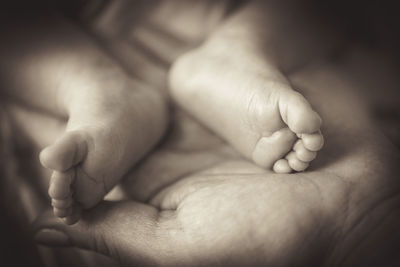 Cropped hand of parent holding baby legs