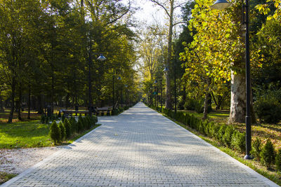 Garden and park, zugdidi botanic garden in georgia.