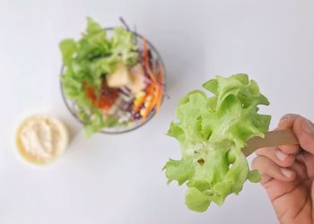 Close-up of hand holding salad