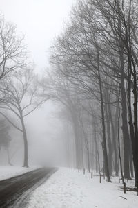 Snow covered road amidst trees against sky