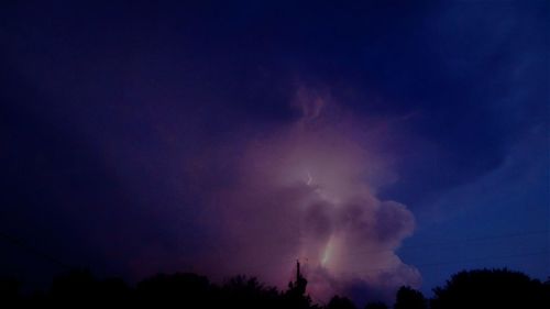 Low angle view of silhouette trees against sky at night