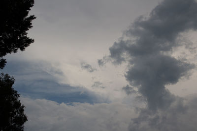 Low angle view of silhouette trees against sky