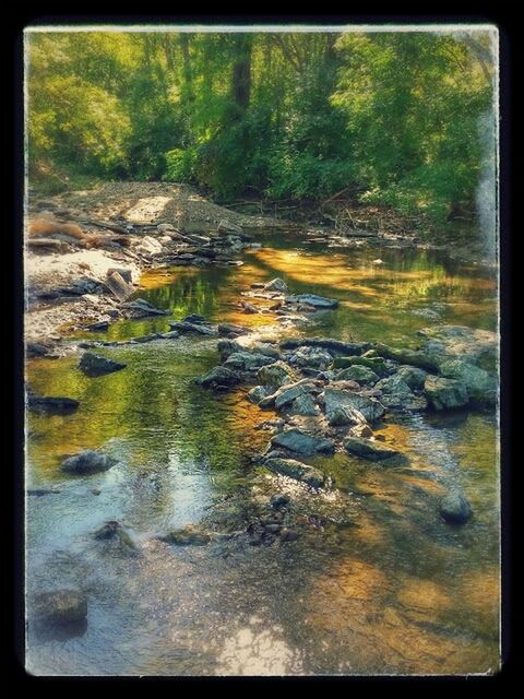 water, transfer print, auto post production filter, tranquility, waterfront, nature, reflection, beauty in nature, stream, lake, high angle view, scenics, tranquil scene, rock - object, river, forest, day, outdoors, no people, flowing