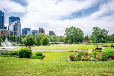 Trees and plants in park against buildings in city