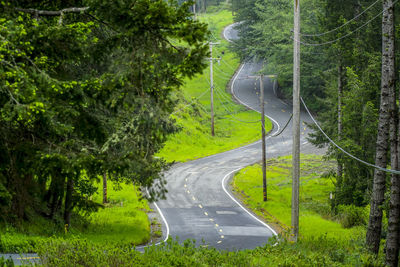 Road amidst trees in forest