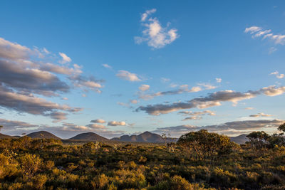 Scenery from stirling range national park,