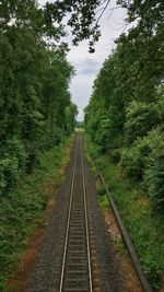 Railroad tracks amidst trees against sky