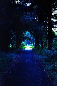 Road amidst trees in forest