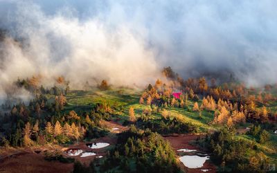Aerial view of trees on landscape during foggy weather