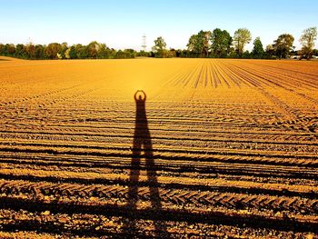 Shadow of person on field