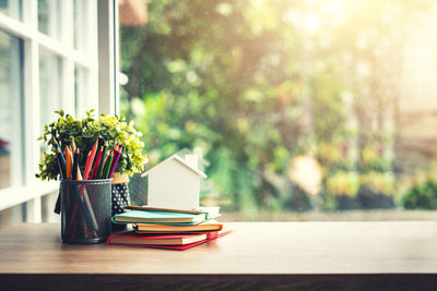 Potted plant on table against window