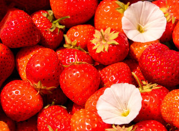 Full frame shot of strawberries