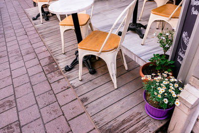 High angle view of potted plants on sidewalk