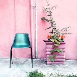 Potted plant against wall in building