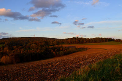 Scenic view of field against sky