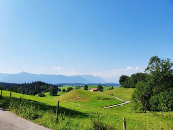 Scenic view of agricultural field against sky