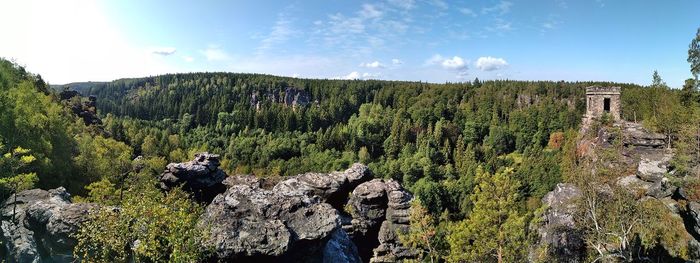 Panoramic view of trees and plants against sky