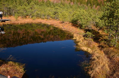 Scenic view of lake in forest