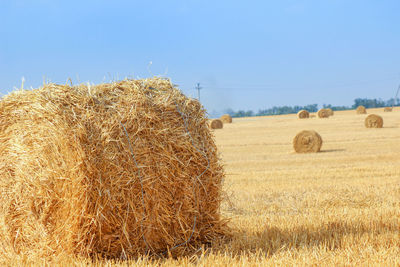 Hay bales on field against clear sky