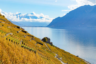 Lavaux vineyards in the fall