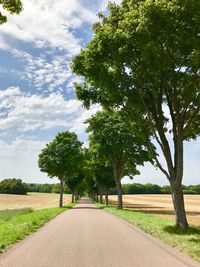 Road amidst trees against sky