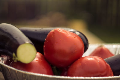 Close-up of fruits in bowl