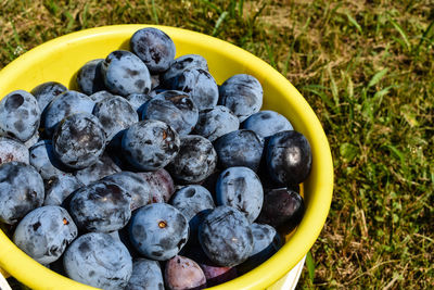 High angle view of fruits in bowl