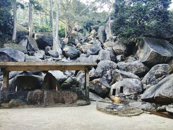 Horse by rock formation against trees