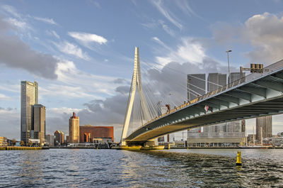 Rotterdam erasmus bridge over river in city against sky