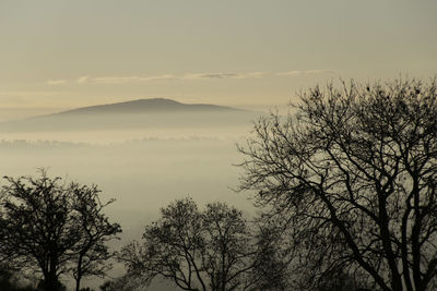 Silhouetted trees in foreground with mountain in the distance beyond a mist covered lowland plain