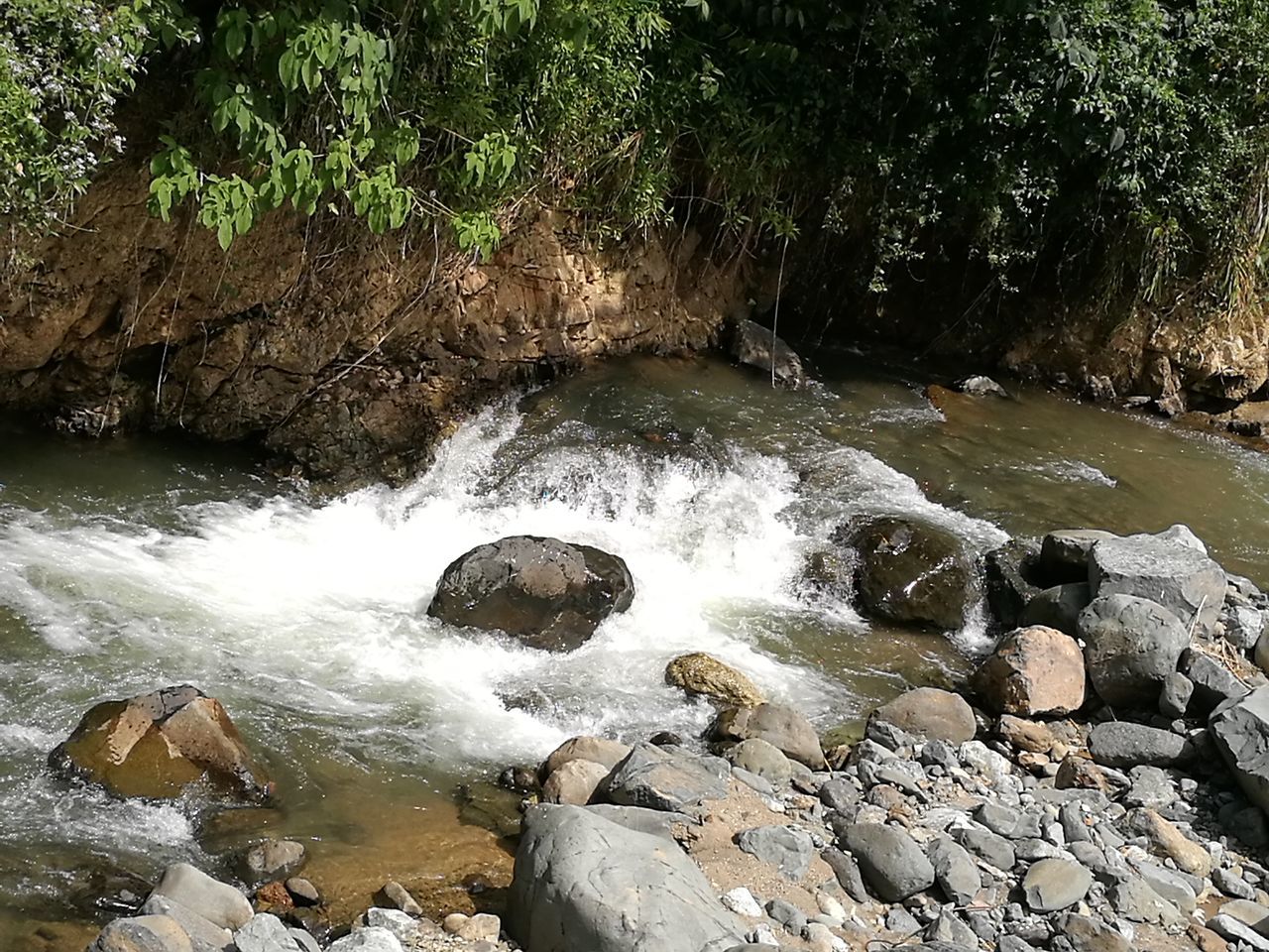 water, nature, no people, river, motion, tree, beauty in nature, outdoors, day, close-up