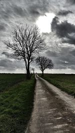 Road amidst bare trees on field against sky