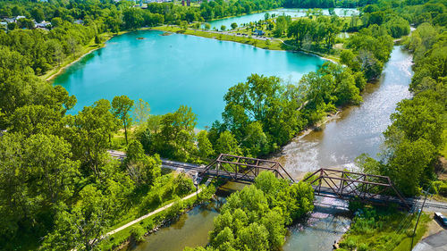 High angle view of river amidst trees