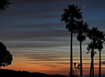 Silhouette palm trees against sky at sunset