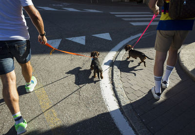 Low section of pet owners walking with dogs on street